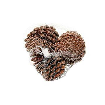 Maritima 10-12cm 3st naturel