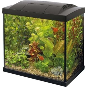 Start 30 Tropical Kit zwart