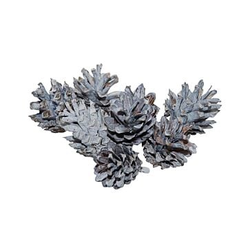Pinecone Silvester wit 200 gram - HBX Natural Living