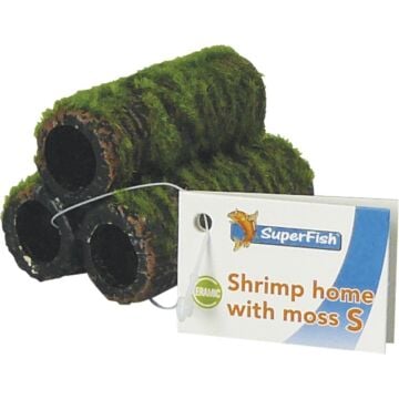 Shrimp Home met Mos M