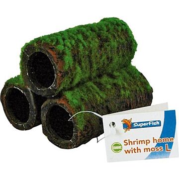 Shrimp Home met Mos L