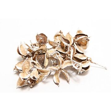 Katoen pods 150g wit-wash Katoen pods 150g wit-wash