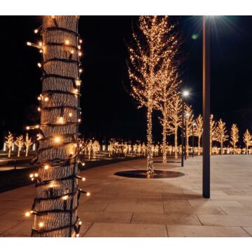 Connect De Luxe 100LED Warm Wit 10m