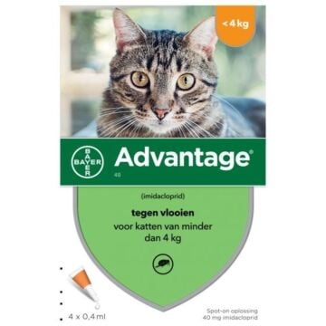 Advantage Kat 40 4pip