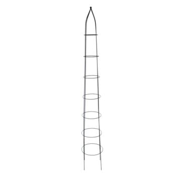 Pyramide Plantensteun L
