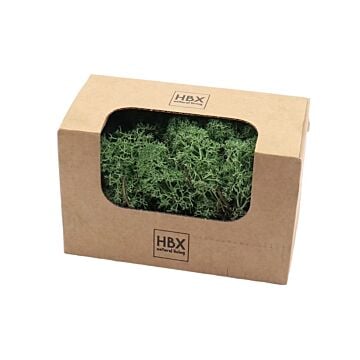 Basic Reindeer Moss 50 gr