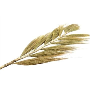 Stem Grain Wide L100.0W20.0