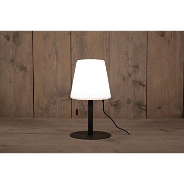 Solar Moonlight Mini lamp met Dimmer en Usb Kabel