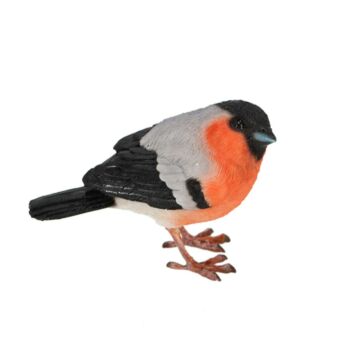 Goudvink 