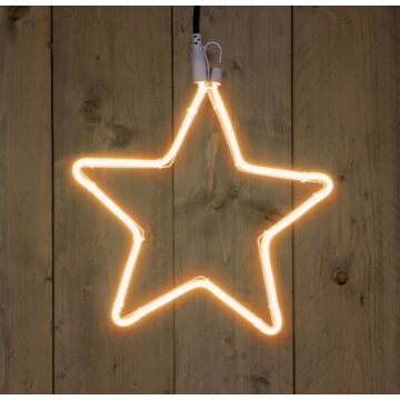 Neon ster warm wit 30 cm 