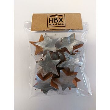 Basic Coco Star 4,5 cm zilver set van 15 - HBX Natural Living