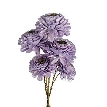 Bunch Shola Ranunculus paars 8 cm - HBX Natural Living Bunch Shola Ranunculus paars 8 cm - HBX Natural Living