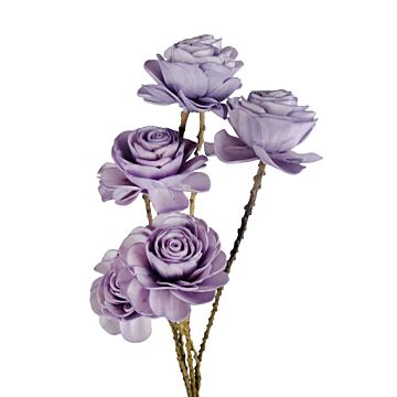 Bunch Shola Beauty Rose paars 6 cm - HBX Natural Living Bunch Shola Beauty Rose paars 6 cm - HBX Natural Living