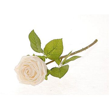 Roos Lovely wit 44 cm - HBX Natural Living Roos Lovely wit 44 cm - HBX Natural Living