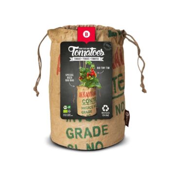 Baza Tomato bio tiny tim