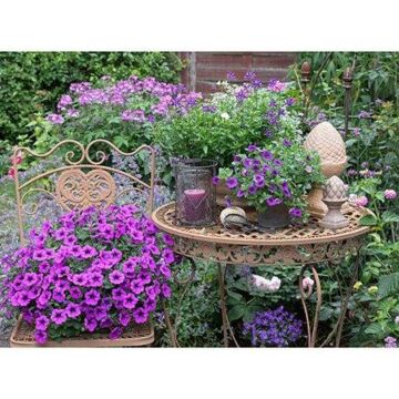 Buitencanvas paarse bloemen 78 cm