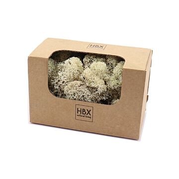Basic Reindeer Moss 50 gr