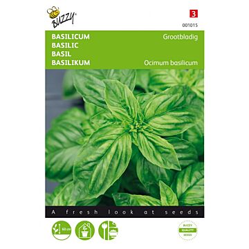Basilicum Grootbladig - Buzzy