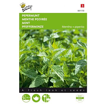 Pepermunt - Buzzy