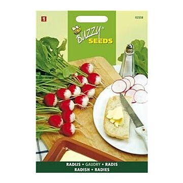 Radijs Gaudry 3 - Buzzy