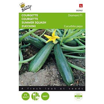 Courgette Diamant F1 - Buzzy