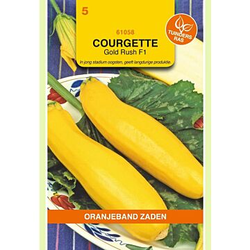 Courgette gold rush f1 hybride 2g