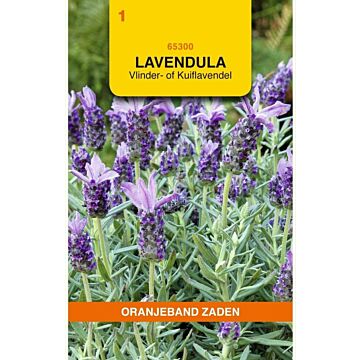Lavendel stoechas sancho panza 0.1g