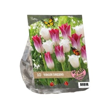 Urban Flowers - Virgin Dreams per 10