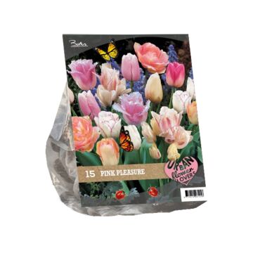 Urban Flowers - Pink Pleasure per 15