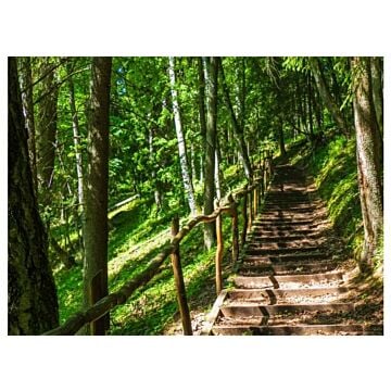 Buitencanvas houten trap L 118 cm