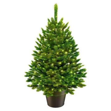 Kerstboom Premium in pot met LED 80 cm - ArtiTree Kerstboom Premium in pot met LED 80 cm - ArtiTree