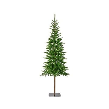 Kerstboom Alpbach Fir groen 240 cm - Everlands