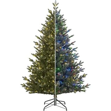 Kerstboom Burton multi 500LED blauwgroen 215 cm - Black Box
