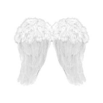 Engelenvleugels wit 48 x 46 cm Engelenvleugels wit 48 x 46 cm