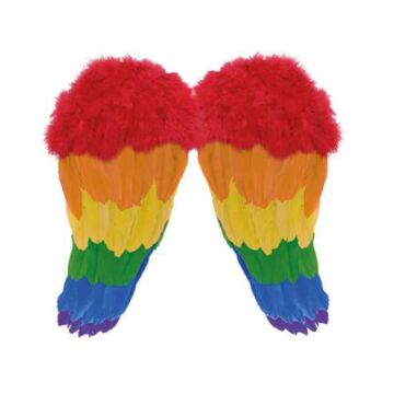 Engelenvleugels regenboog 48 x 46 cm Engelenvleugels regenboog 48 x 46 cm