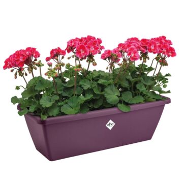 Balkonbak Barcelona esdoorn paars 70 cm - Elho