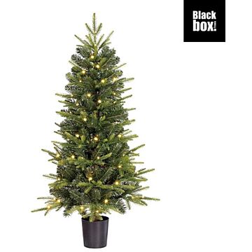 Kerstboom Grimshaw LED B/O groen 120 cm - Black Box Kerstboom Grimshaw LED B/O groen 120 cm - Black Box