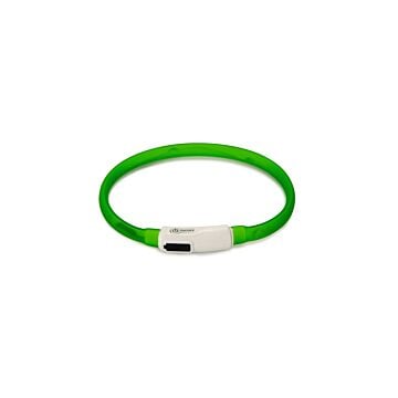 Lichtgevende halsband + USB groen - BEEZTEES