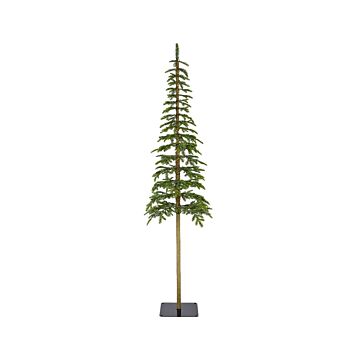 Kerstboom Alpine Fir groen - Everlands