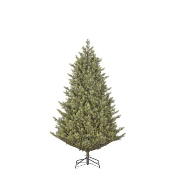 Kerstboom Delmar groen - Black Box