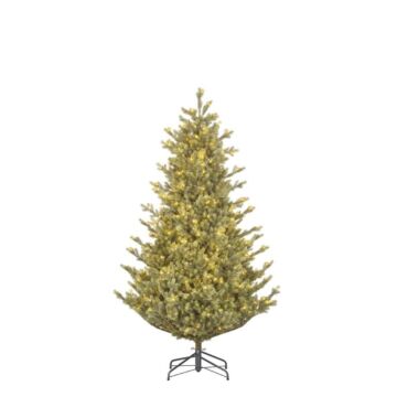 Kerstboom Delmar LED groen - Black Box