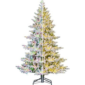 Kerstboom Yunnan frosted LED groen - Black Box Kerstboom Yunnan frosted LED groen - Black Box