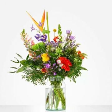 Plukboeket Beterschap
