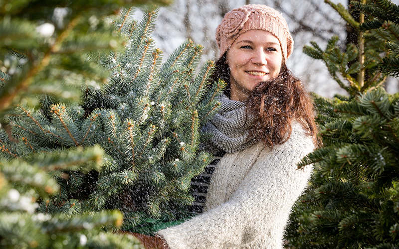 Kerstboom kiezen