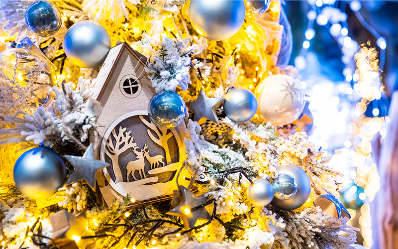 Kersttrend -  Winter Joy