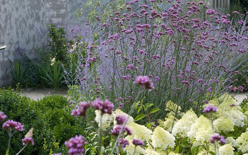 9 tips voor een makkelijke én duurzame tuin