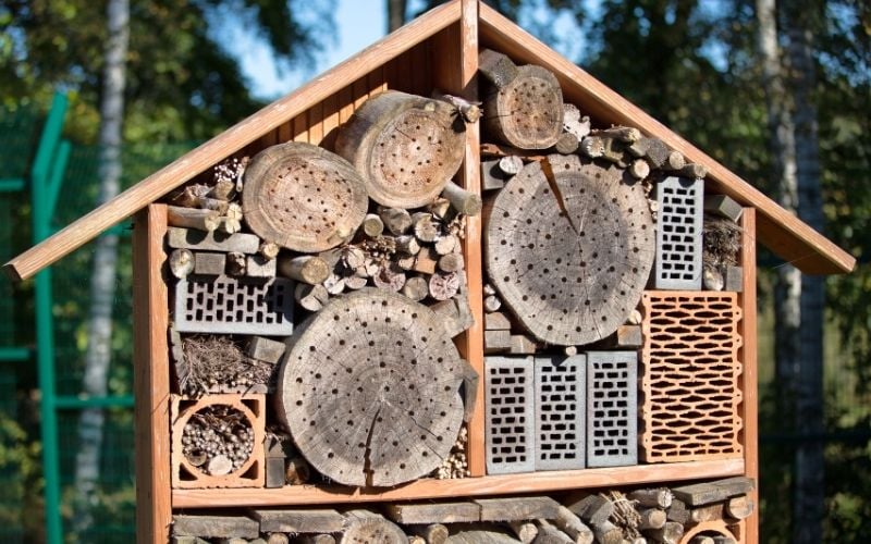 Alles wat je moet weten over een insectenhotel in je tuin