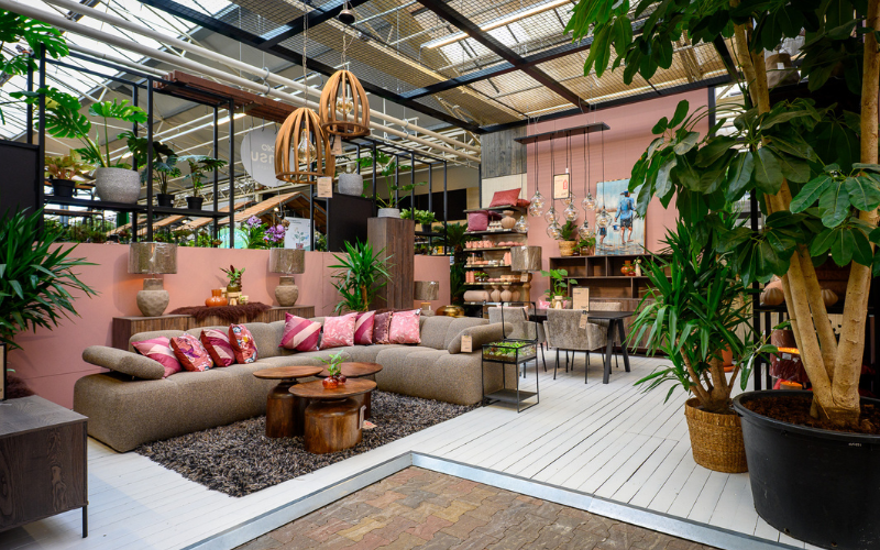 Kerstboom eruit, kamerplant erin