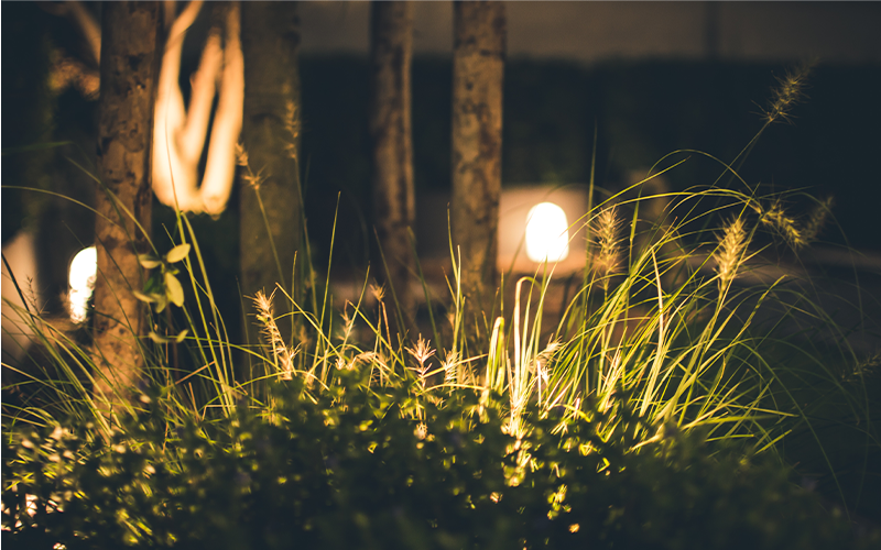 Hoe kies je de beste verlichting voor je tuin?