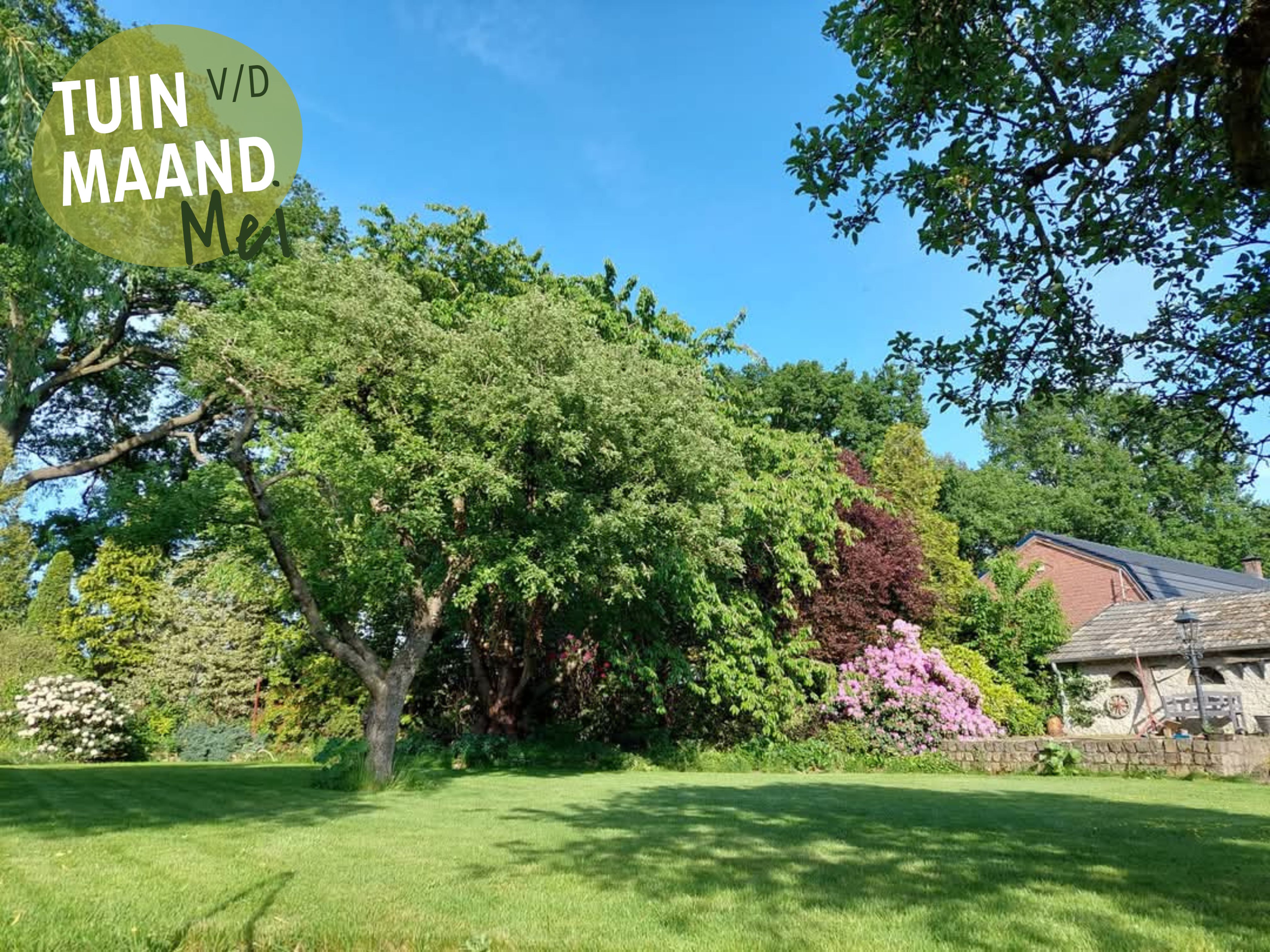 Tuin van de maand mei
